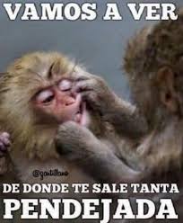 Yeyo67Tabula's tweet photo. @LillyTellez https://t.co/4jKnXxNQlt
