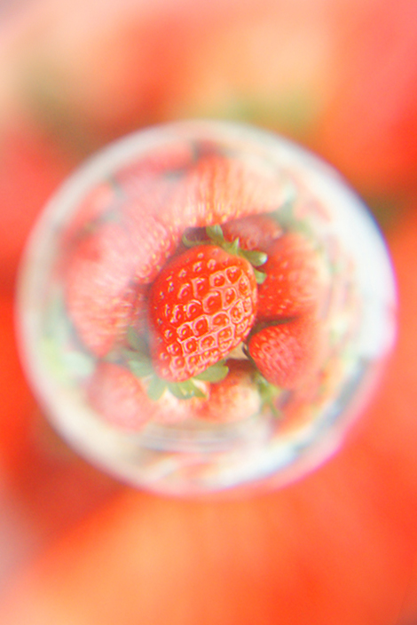 今年もやりますイチゴ狩り！
TAKOYAKIさんのフォロワーさん限定
お友達、ご家族を連れての
参加お待ちしております。
参加費：2000円ぐらい
2026年1月2日（岡山空港付近）
AM10：00　セブンイレブン集合
AM10：20　苺狩スタート
AM11：30　現地解散
参加者は12/21までに
コメントorDMよろしく♪