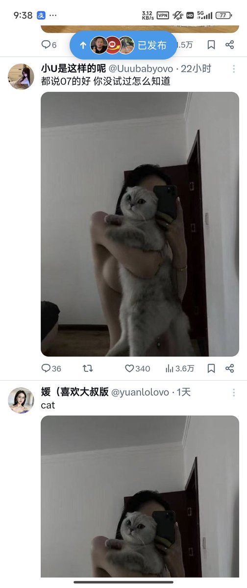 鱼鱼多多 tweet media