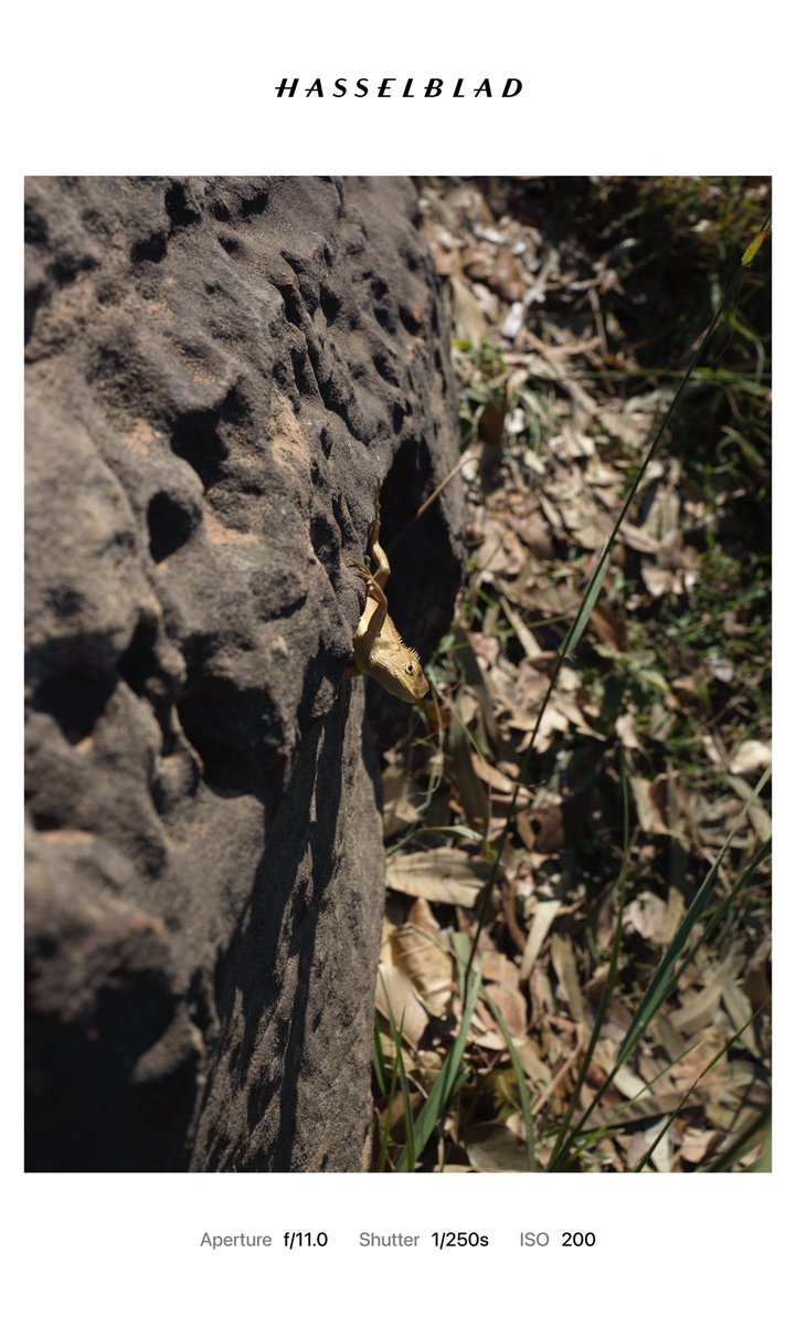 ChenRcj's tweet image. ลองกล้อง