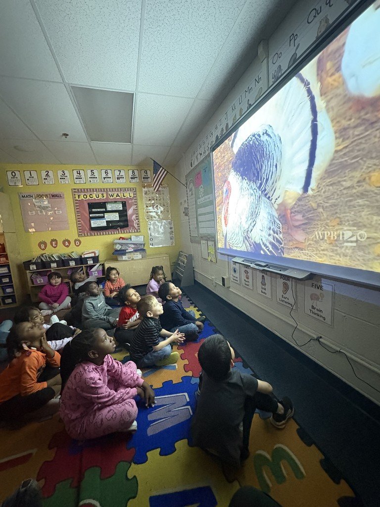 Musselman students have started their lessons about farm life. In Wit &amp; Wisdom, students will be exploring life on the farm and what is true about real farm animals. Ms. McHenry’s class explored videos from her friend’s farm.