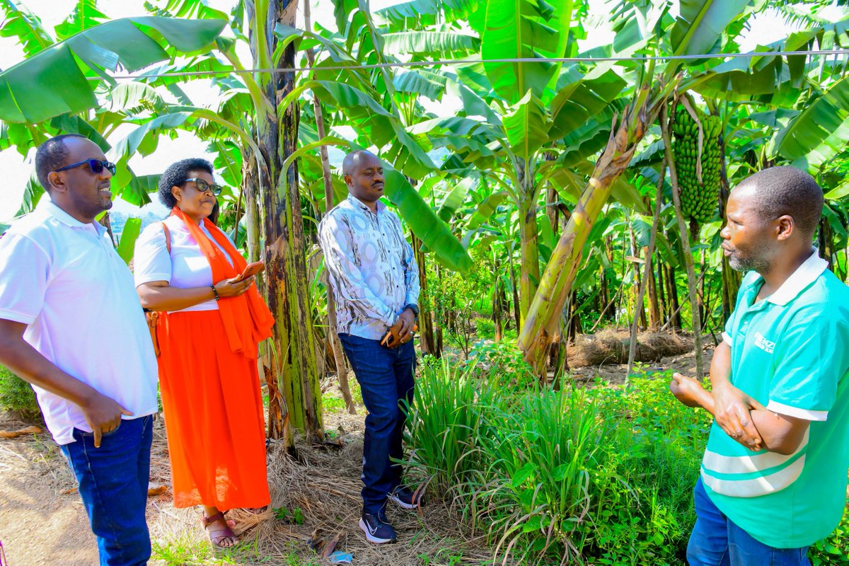 Muhangadis's tweet image. Uyu munsi, Abagize Inama Njyanama ya @Muhangadis  batangiye icyumweru cyahariwe Umujyanama n&apos;Umufatanyabikorwa bagamije kumenya ibibazo biri mu baturage no gutanga inama z&apos;uburyo bwo kubikemura no kurebera hamwe ishyirwamubikorwa ry&apos;imihigo y&apos;Umwaka wa 2025-2026.