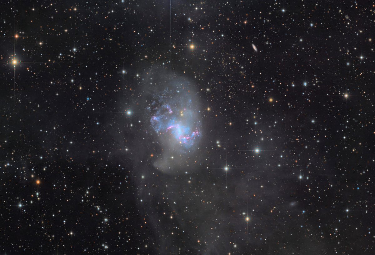 リモートつながりで。 リコリモでも狙えるかなぁ。 K