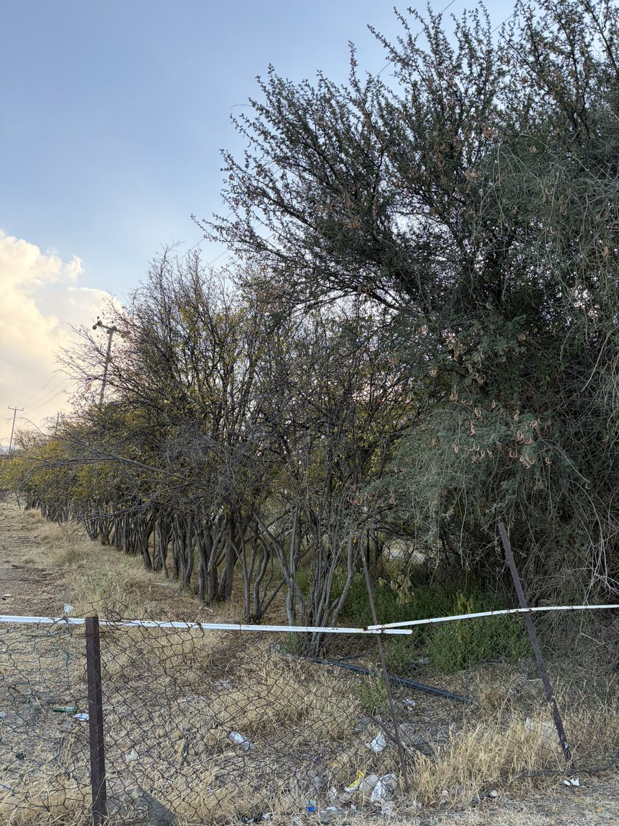 Hamza Wazzan 🫀 tweet media