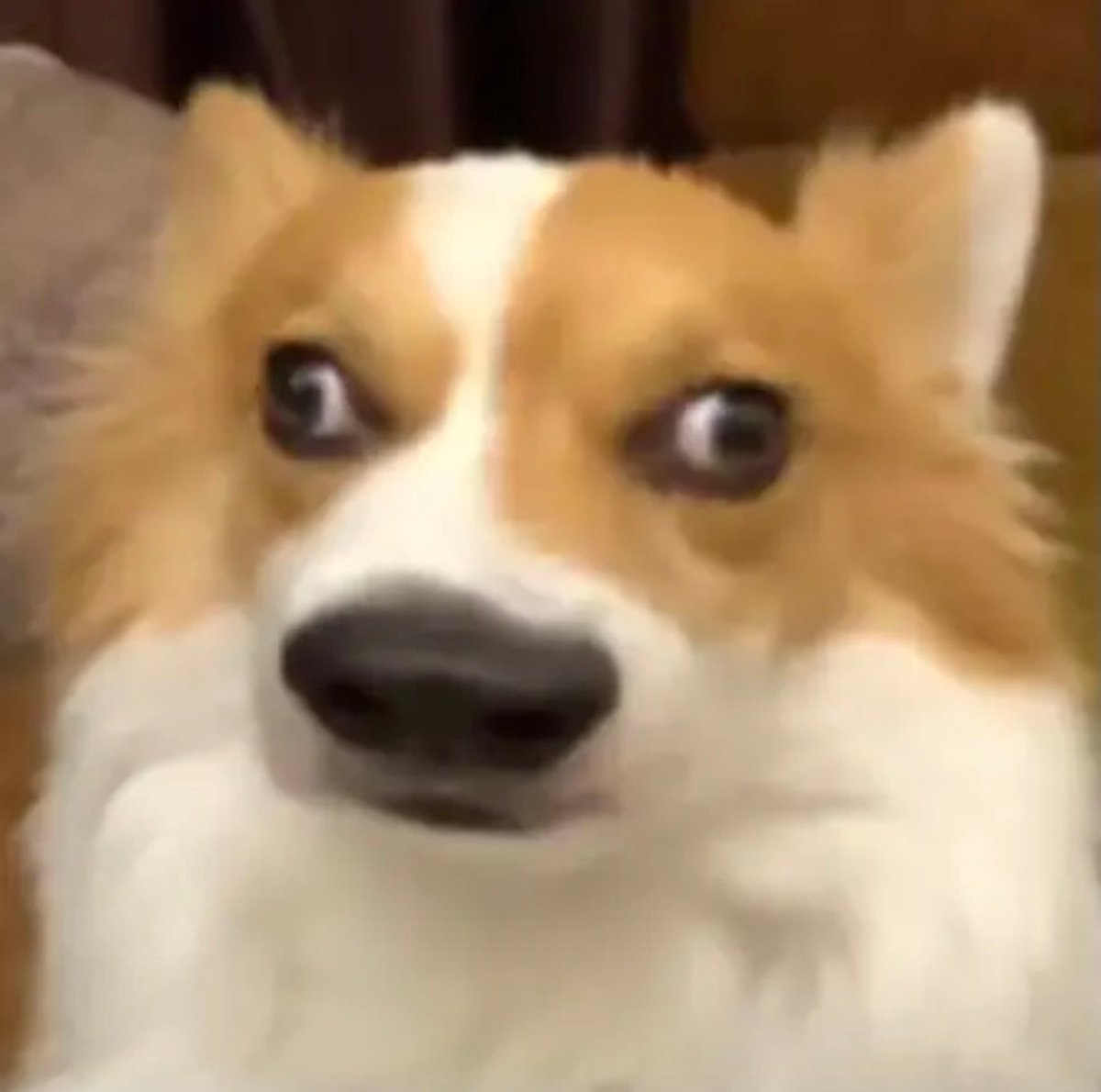 看到我就去喝杯水好吗 tweet media