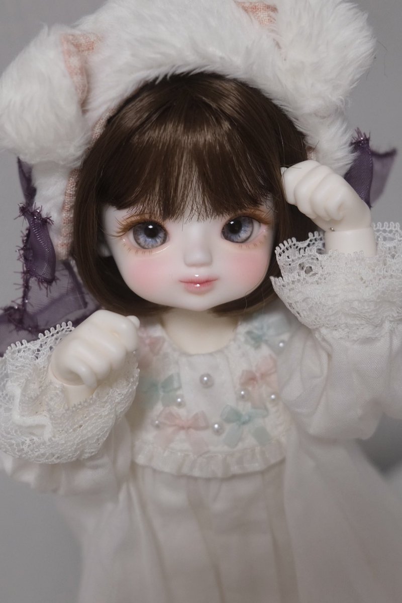 강아지인 척 해도~ 야옹이인 거 다 티나지롱~