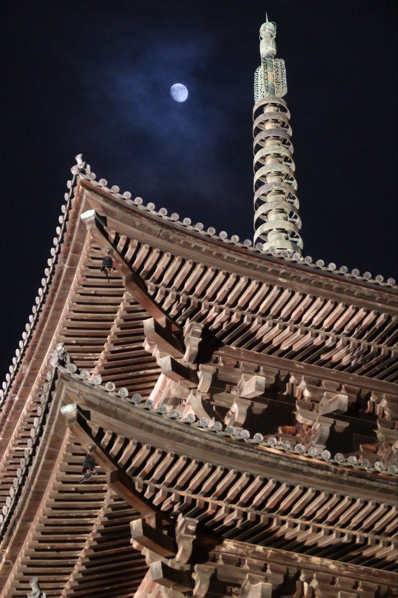KazSilverlining's tweet photo. Time seems to stand still.
It was established in the 8 century and has been intended to remain.
Not only the 180 feet high tallest wooden pagoda in Japan, but also the 25 national treasures &amp; 
52 important cultural properties are overwhelming. https://t.co/MMvwV6eGmY