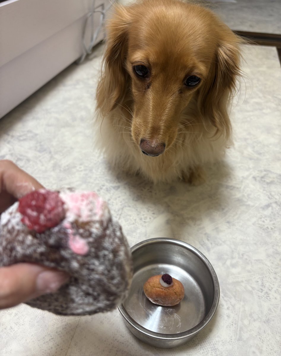 えるちん tweet media