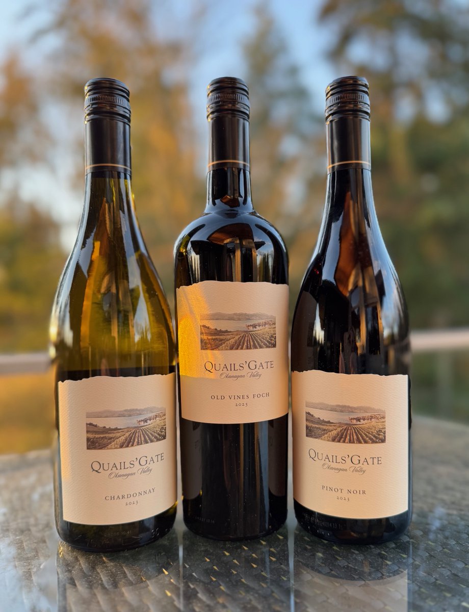 A century of farming, decades of winemaking, and a trio of new 2023 releases in our glass. Quails’ Gate remains one of the Okanagan’s most important family estates, and these wines remind us why: tinyurl.com/bde4vrmv
#bcwine #winetasting