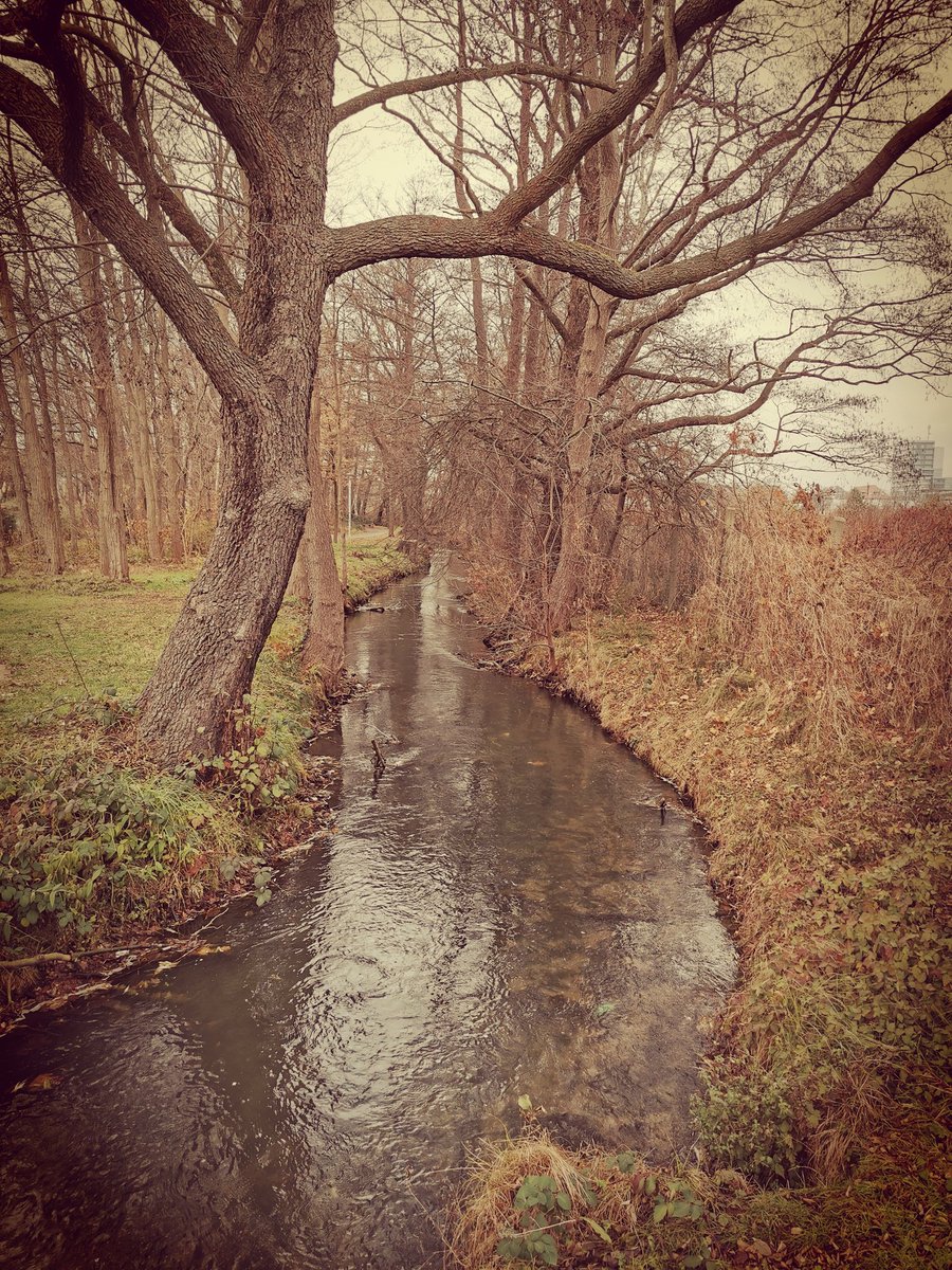 Was mir immer wieder auffällt:
Im Sommer unauffällige ☢️Radon☢️werte – im Winter erhöhte Konzentrationen. Ein stiller, unsichtbarer Wandel, der ohne Messung niemandem auffällt.
Hast du schon Radon gemessen?
#Radon #Radonschutz #radonmessung #radonmessgerät #messgerät #Lungenkrebs