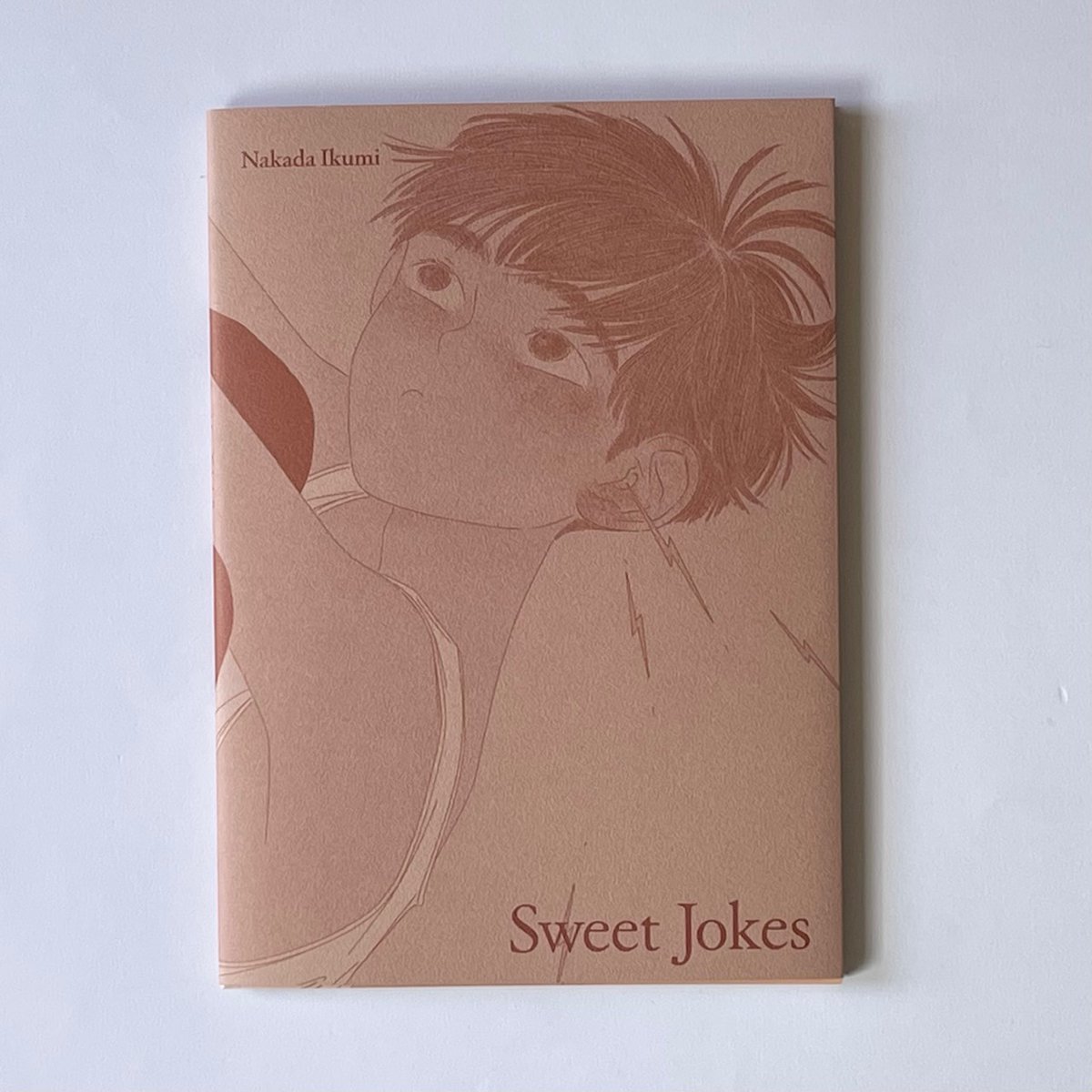 popotame_shop's tweet image. 『Sweet Jokes』刊行のお知らせ✨
『ぼくはイエローでホワイトで、ちょっとブルー』や絵本『やましたくんはしゃべらない』などイラストレーションでも印象的なお仕事をされている画家、中田いくみさんの作品集ができました。バンコクブックフェアと12/13〜個展会場にて販売開始。お取扱店募集中です！