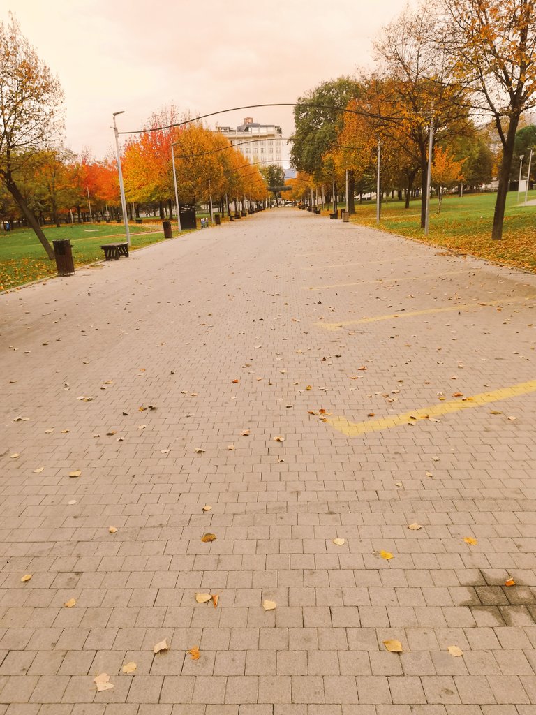 İbrahim..
Gönlümü put sanıp ta kıran kim..