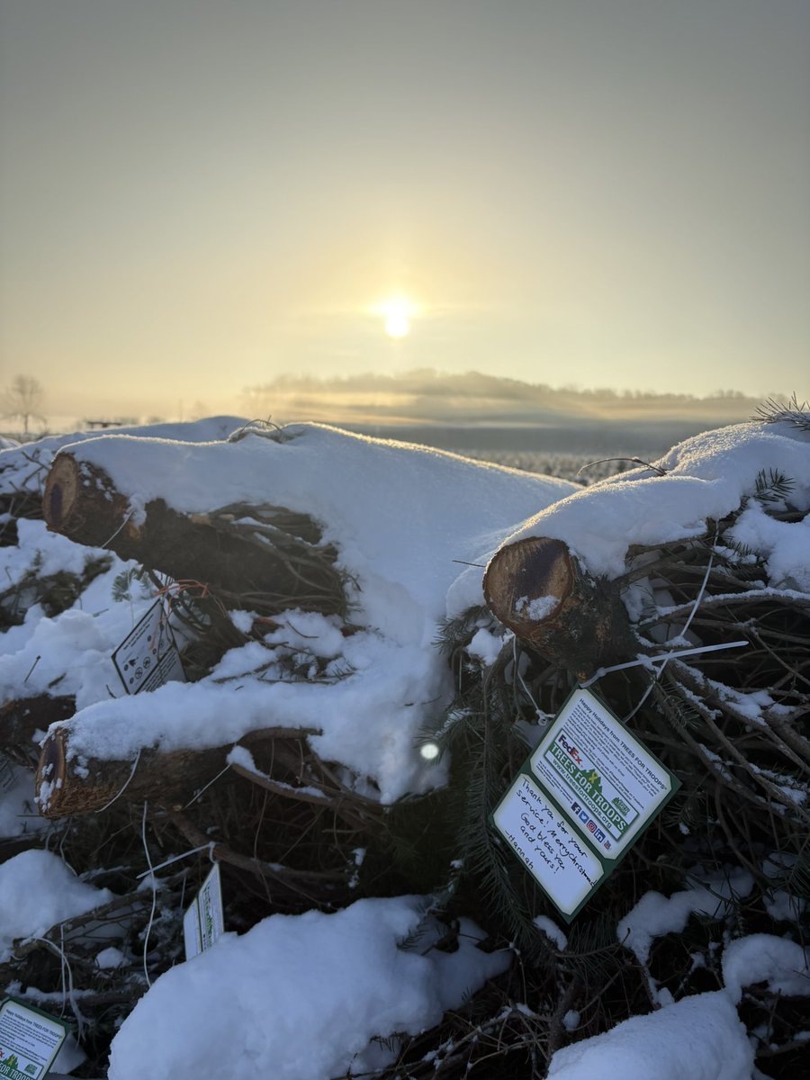 lynseymukomel's tweet image. Gorgeous morning to be supporting the #treesfortroops event at Tannenbaum Farms in Mason!