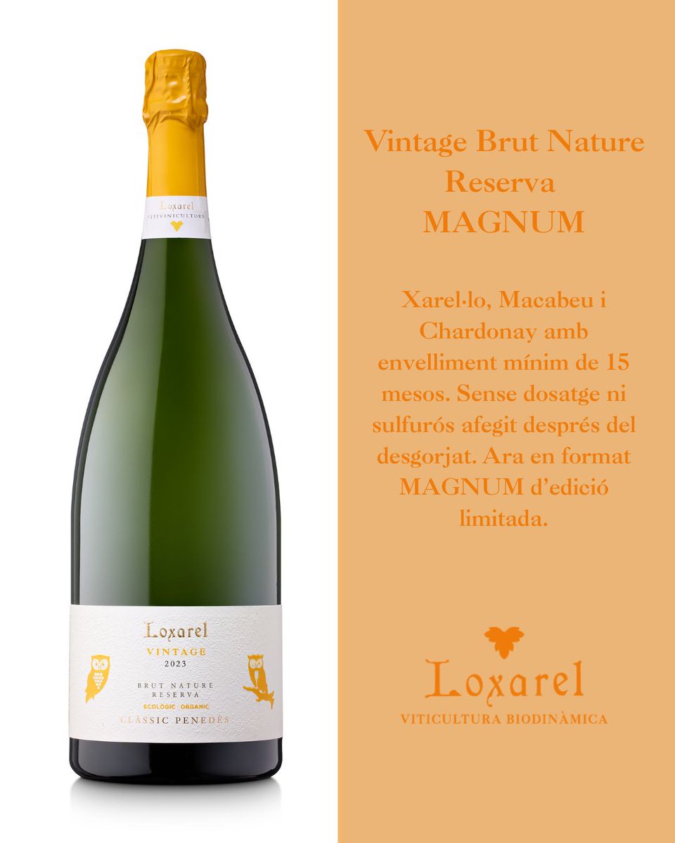El Vintage Brut Nature Reserva , ara en format Magnum d'edició limitada!✨Una proposta pensada per als moments que mereixen ser celebrats i gaudits sense pressa, amb emoció i sentit 🥂. Ja la podeu trobar a la botiga online-> loxarel.com/producte/vinta…