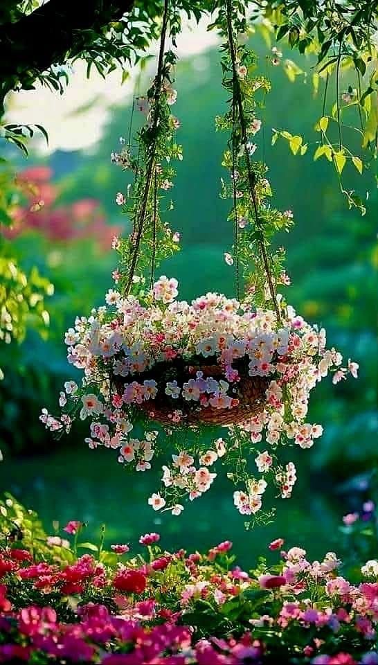 ❃ 𝐆𝖍𝖆𝖟𝖆𝖑𝖆𝖍 𝐒𝖆𝖉𝖆𝖋 ❃ tweet media