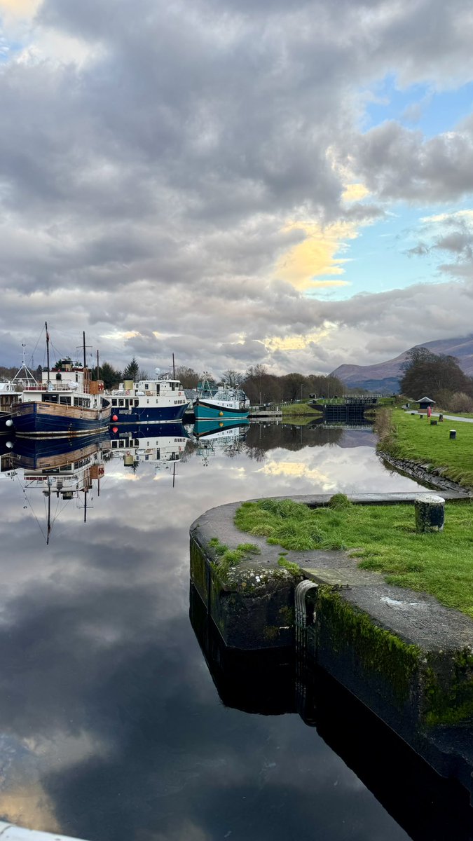 Saud Al Shehri tweet media