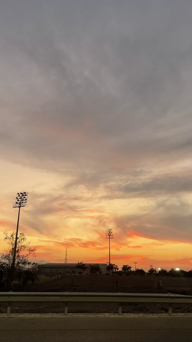 Manar Al-farsi tweet media