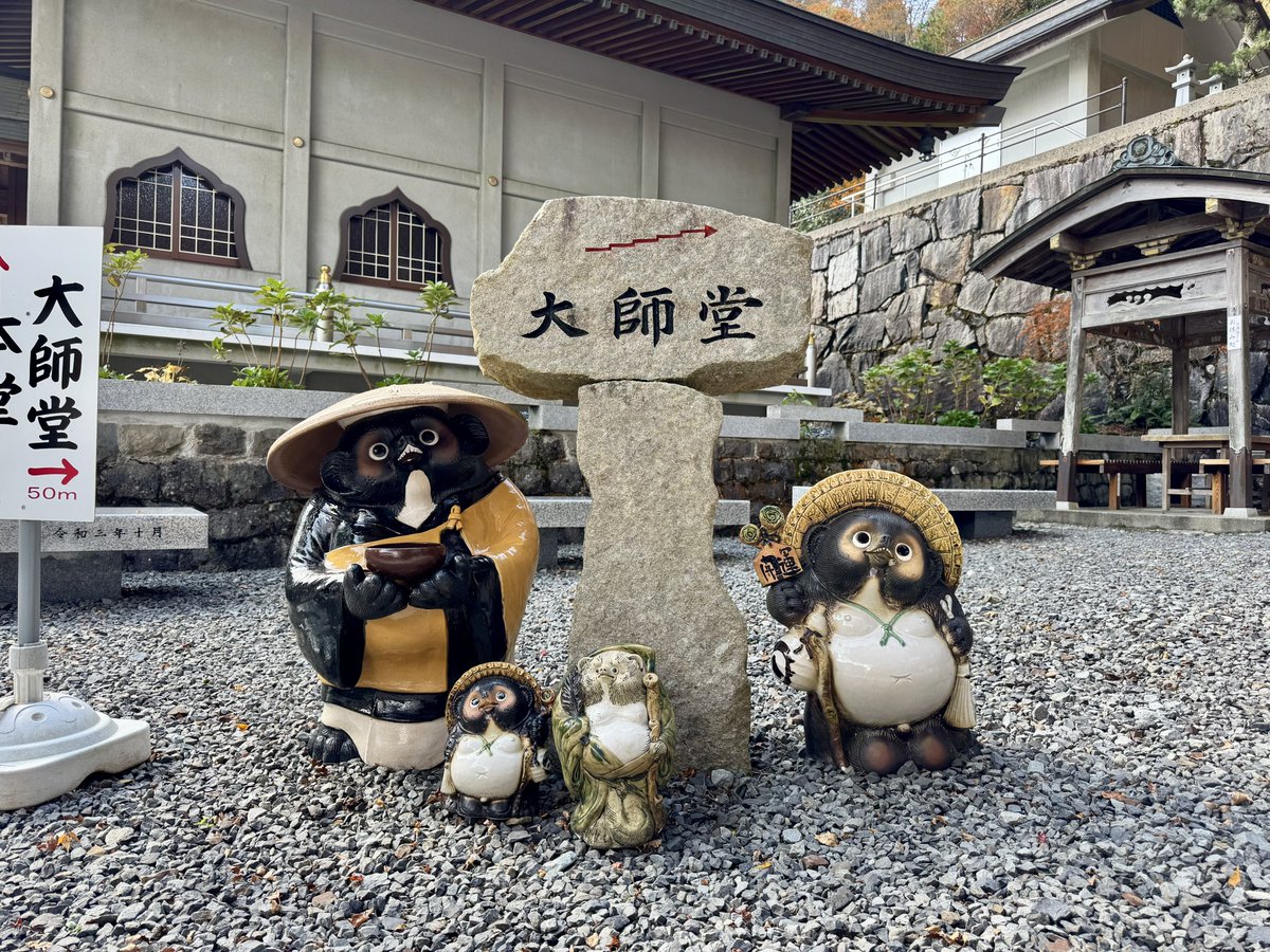 VDb9aSA7EI's tweet photo. 四国のたぬき https://t.co/0omllQEOPH