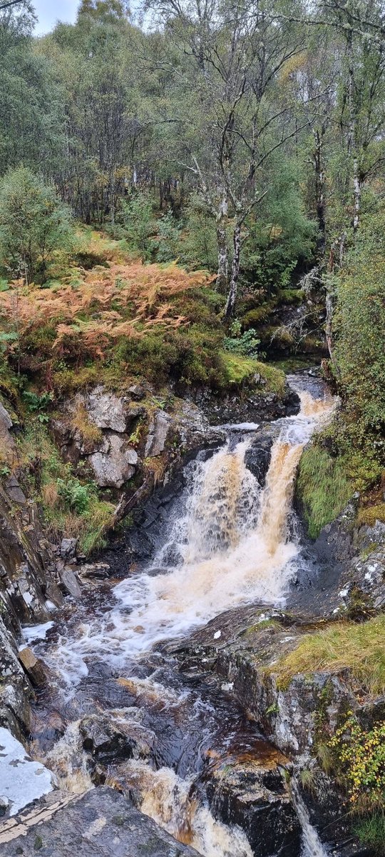 CascadeCumbria tweet media