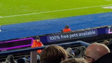 David Jackson tweet media