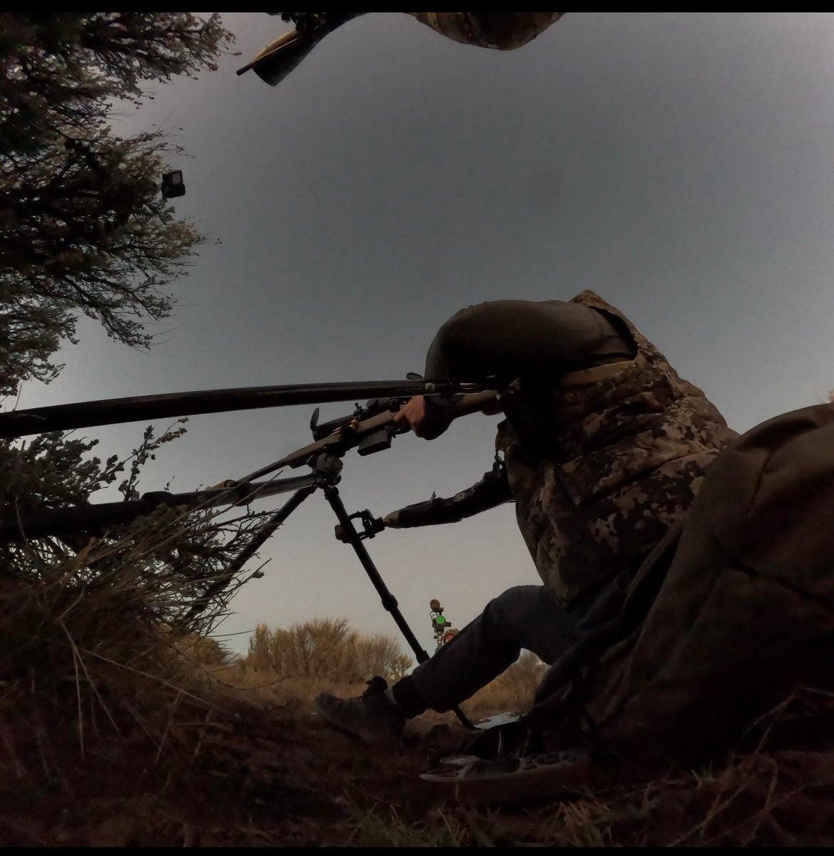 Tyler Vargas-Andrews tweet media