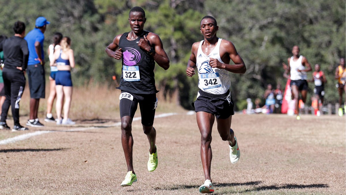 Congratulations to all of the #NJCAAXC alumni who competed at the four-year level this season! Read about some of them below ⬇️

njcaa.org/sports/mxc/202…

#OpportunitiesStartHere