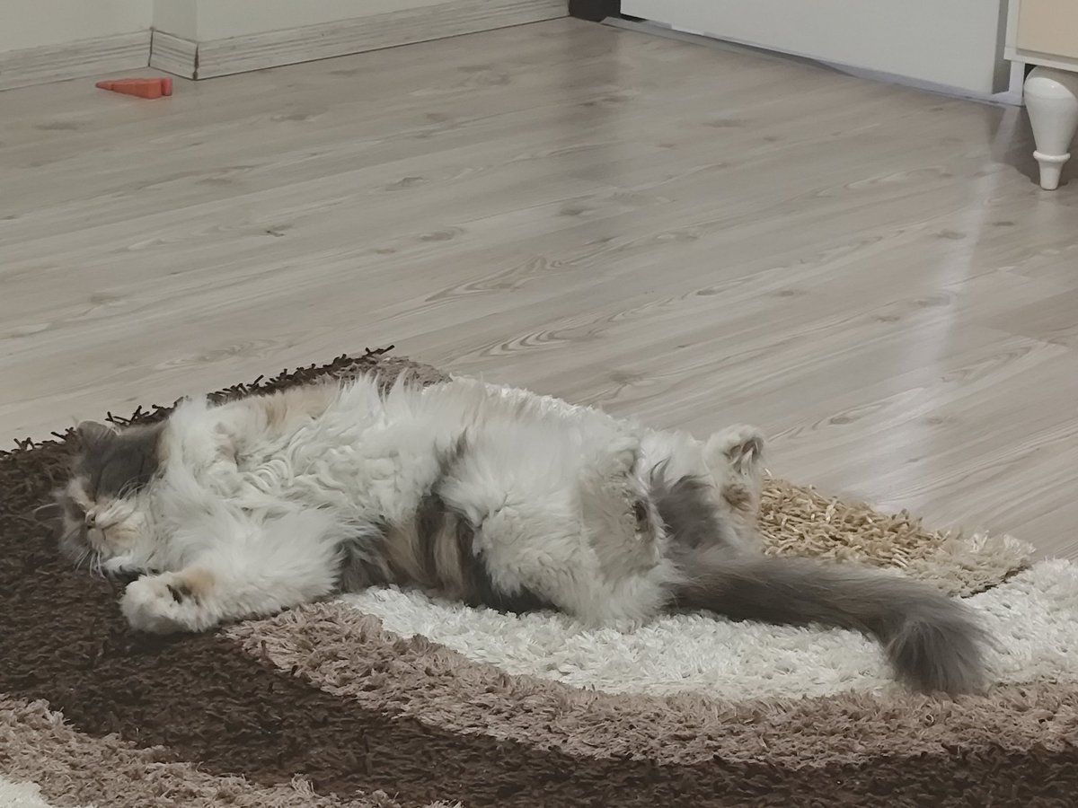 Halıda birşey gördüm sanki 🤔😁