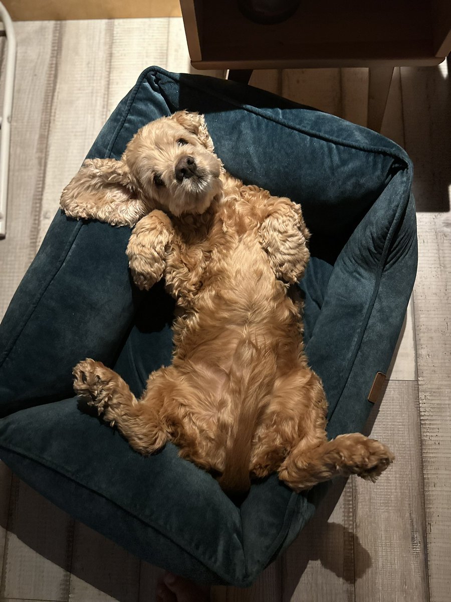 APolux's tweet image. Ну що там? Хто хоче купити батарею хлопцям? Не хвата 12к

send.monobank.ua/jar/5dLMJCG8aQ