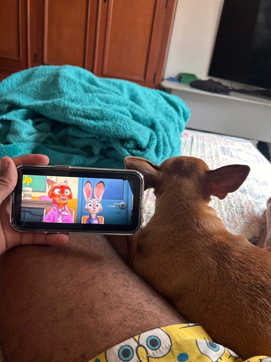 𝖉𝖚𝖒𝖊 tweet media