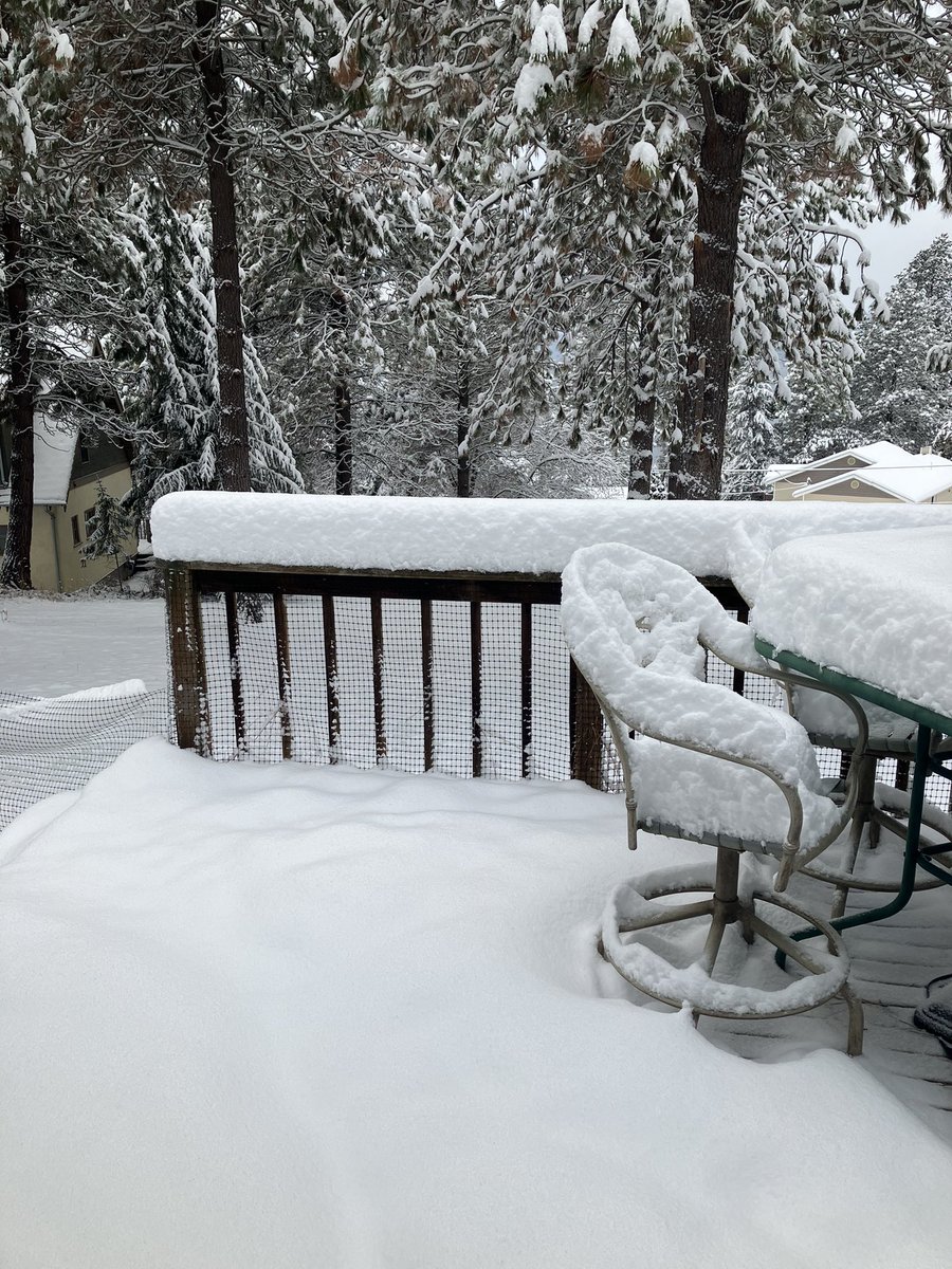 Montana this morning at dad’s house