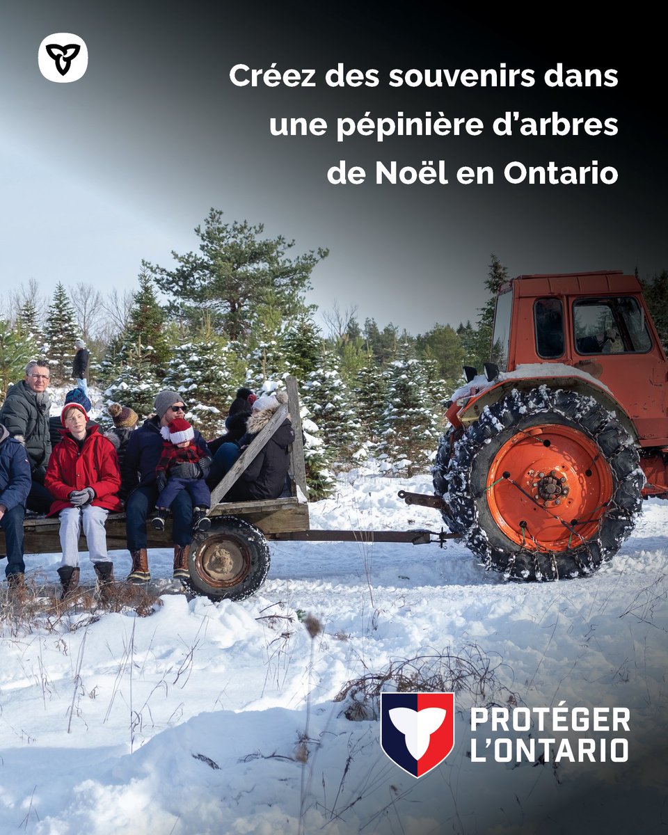 Joyeuse Journée de l’arbre de Noël!🎄 Rien ne vaut la magie des fêtes pour choisir l’arbre parfait. Créez des souvenirs dans une pépinière d’arbres près de chez vous : destinationontario.com/fr-ca/articles…