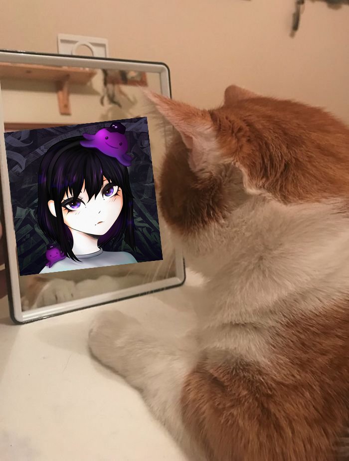 Chazeevee is...?

c - collateral - fully collateralized risks and capital - the foundation of re's onchain structures

h - homeowners - one of the key insurance lines making up 22% of the portfolio - focus on predictable risks for homeowners in non catastrophic areas

a -