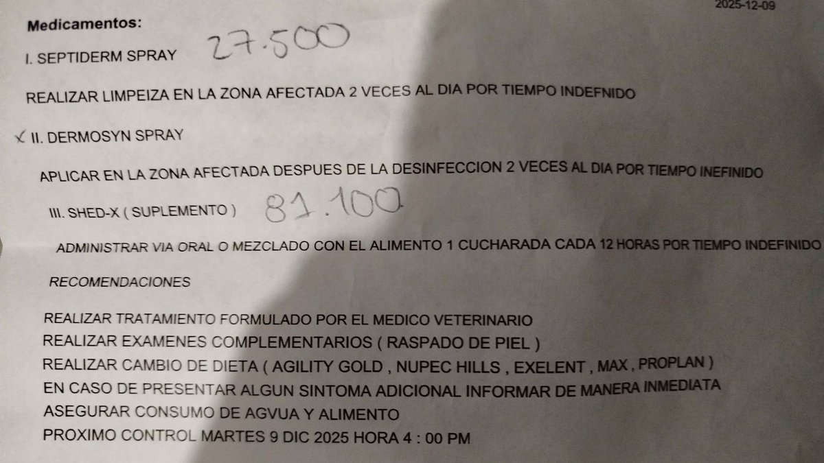 Natsuki_7890's tweet image. ⚠️COMISIONES DE EMERGENCIA⚠️

Hola pequeños, este tweet es para platicar sobre algo, necesito recaudar unos 70 usd para comprarle unos medicamentos a mi perrita Skadi, ayer la llevé al veterinario ya que desde que la llevamos a bañar a un lugar donde siempre la llevábamos vimos…