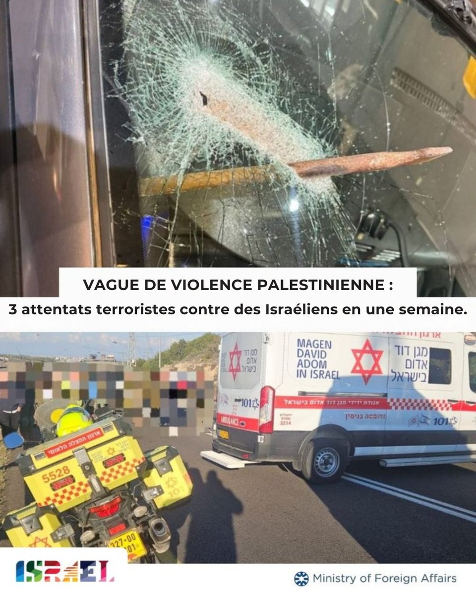 IsraelenFR's tweet image. Le terrorisme palestinien contre les Israéliens se poursuit dans le silence général.

Rien que cette semaine :

- Attaque sur la route 5 : une barre de fer lancée sur un véhicule civil.
- Attentat à la voiture-bélier à Kiryat Arba : une soldate blessée.
-Attaque au couteau à…