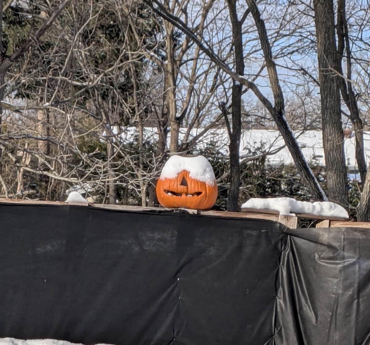 Sad pumpkin.