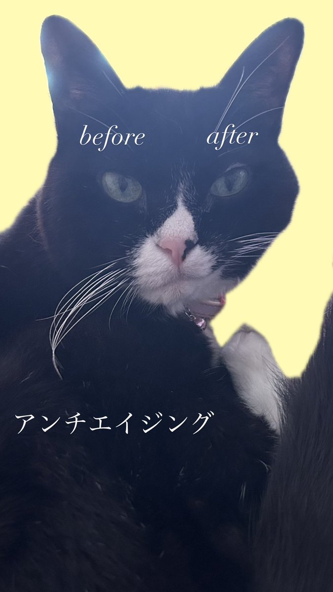 夜這いの時間に
シュン…となっている方へ🌟

楽しいことや
笑えることがないと
口角が上がらない？

楽しいことがない
笑えることがない
ではなく

楽しみも笑いも作って
口角を上げて
いったりましょ🌟

口角を上げることは
運気や向上心
心までもアゲアゲにできる
最高のアンチエイジングなのよ🐒