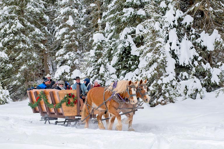 ❄️ Winter at the Bar W is calling! From cozy sleigh rides to guided snowshoe treks, scenic drives &amp; back-country cat-ski adventures — there’s a Montana memory waiting for everyone.
 
 👉Learn more &amp; book your winter escape! thebarw.com/public-ranch-a…

#BarWGuestRanch #WhitefishMT