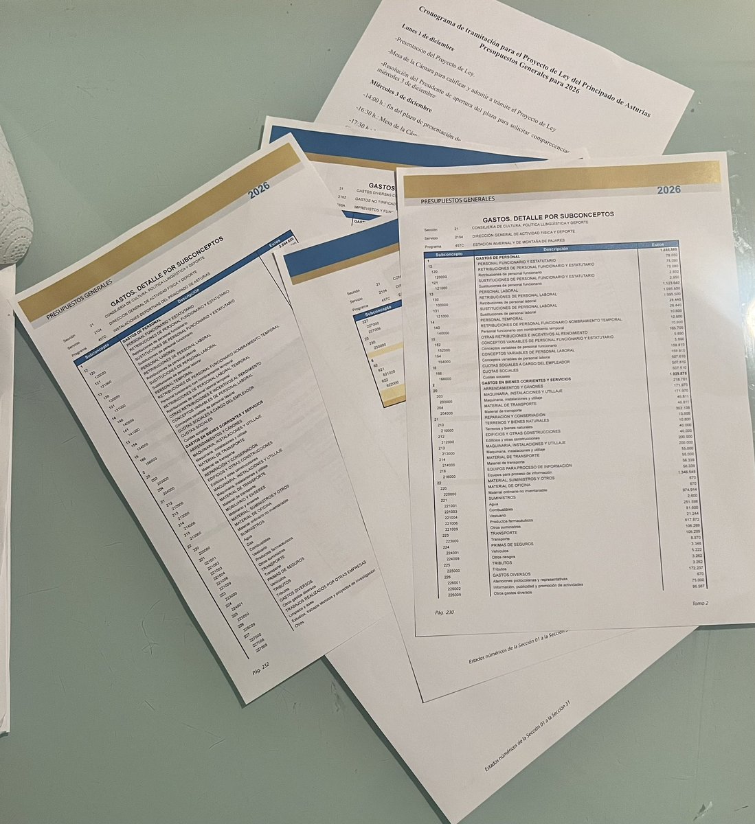 Semana intensa:

• Comisión Regional de Deportes y comisiones de Movilidad y Cultura en la @jgpa: propuestas del PP para mejorar cercanías e instalaciones deportivas, bloqueadas por la izquierda.
• Rueda de prensa en Pajares denunciando su desastrosa gestión.
• Foro de