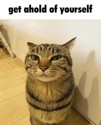 Lumignons (@lumignons_) on Twitter photo 