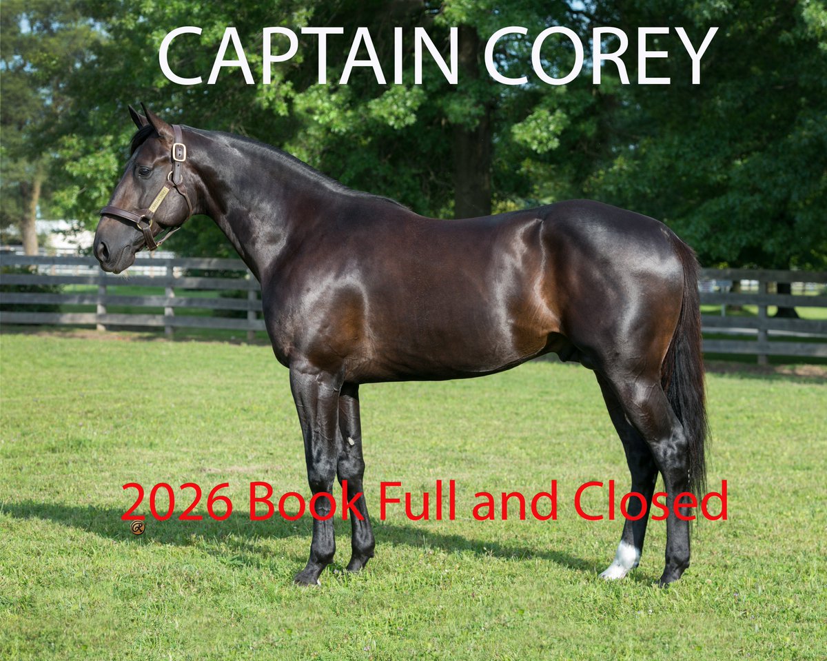 Hanover Shoe Farms and the Captain Corey syndicate are pleased to announce the 2026 book to Captain Corey is full and closed.

We are thankful for the overwhelming support that was shown after Corey's phenomenal first crop hit the racetrack.