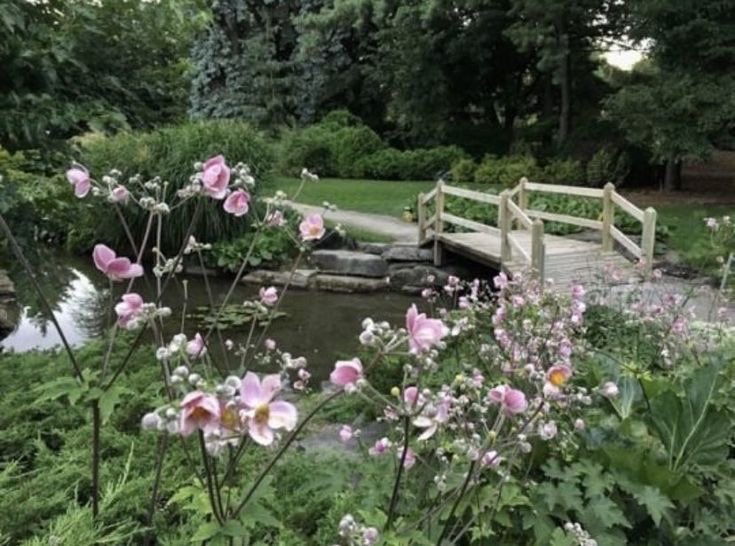 controdicting's tweet image. 