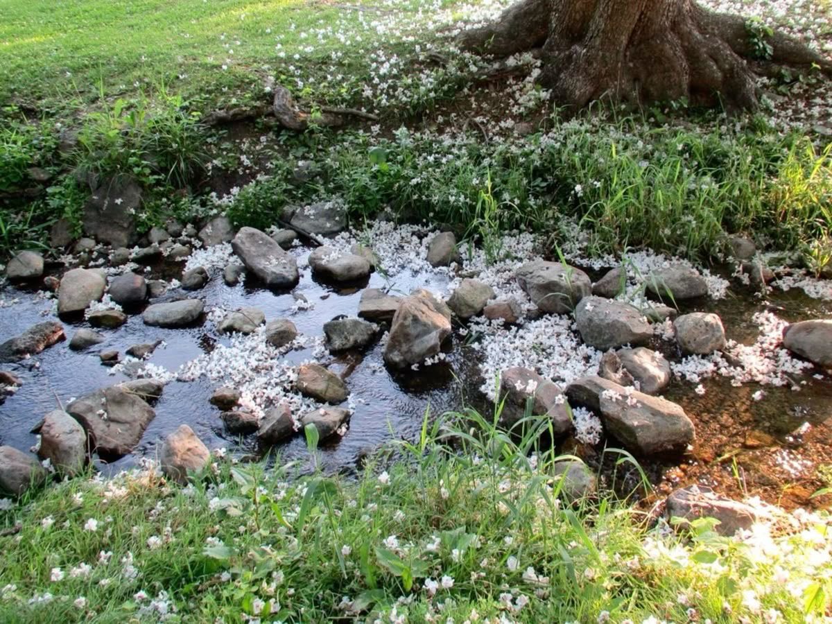 controdicting's tweet image. 