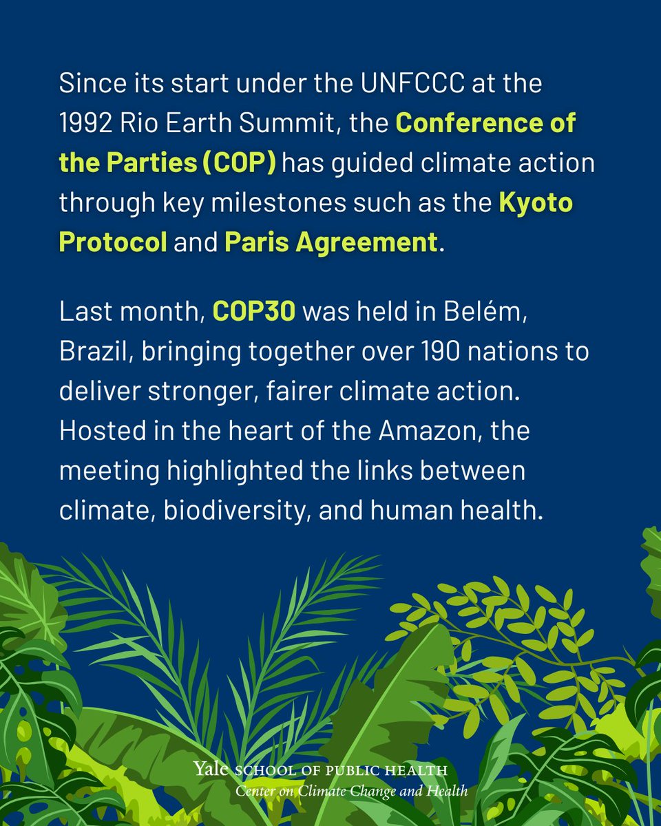 Yale Center on Climate Change & Health tweet media