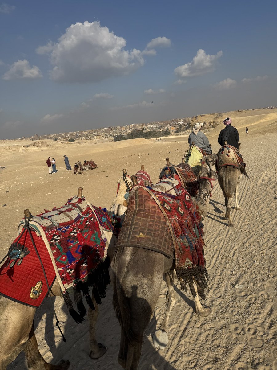 Yogetsu Akasaka ||赤坂陽月 tweet media