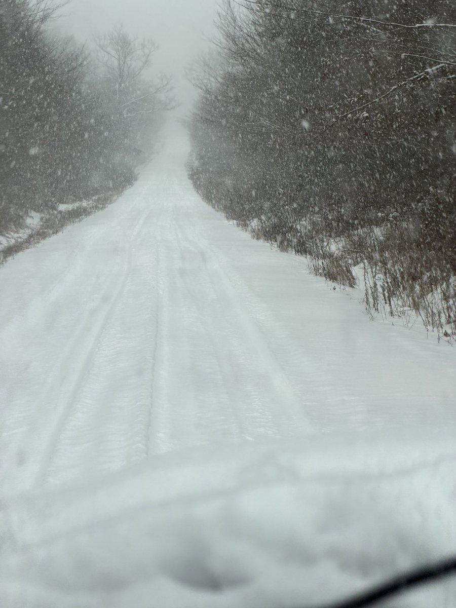 RLegotte's tweet photo. @MikeMasco @PIX11News Brady’s lake road been heavy for a few hrs now https://t.co/Ti8xXEWhWd