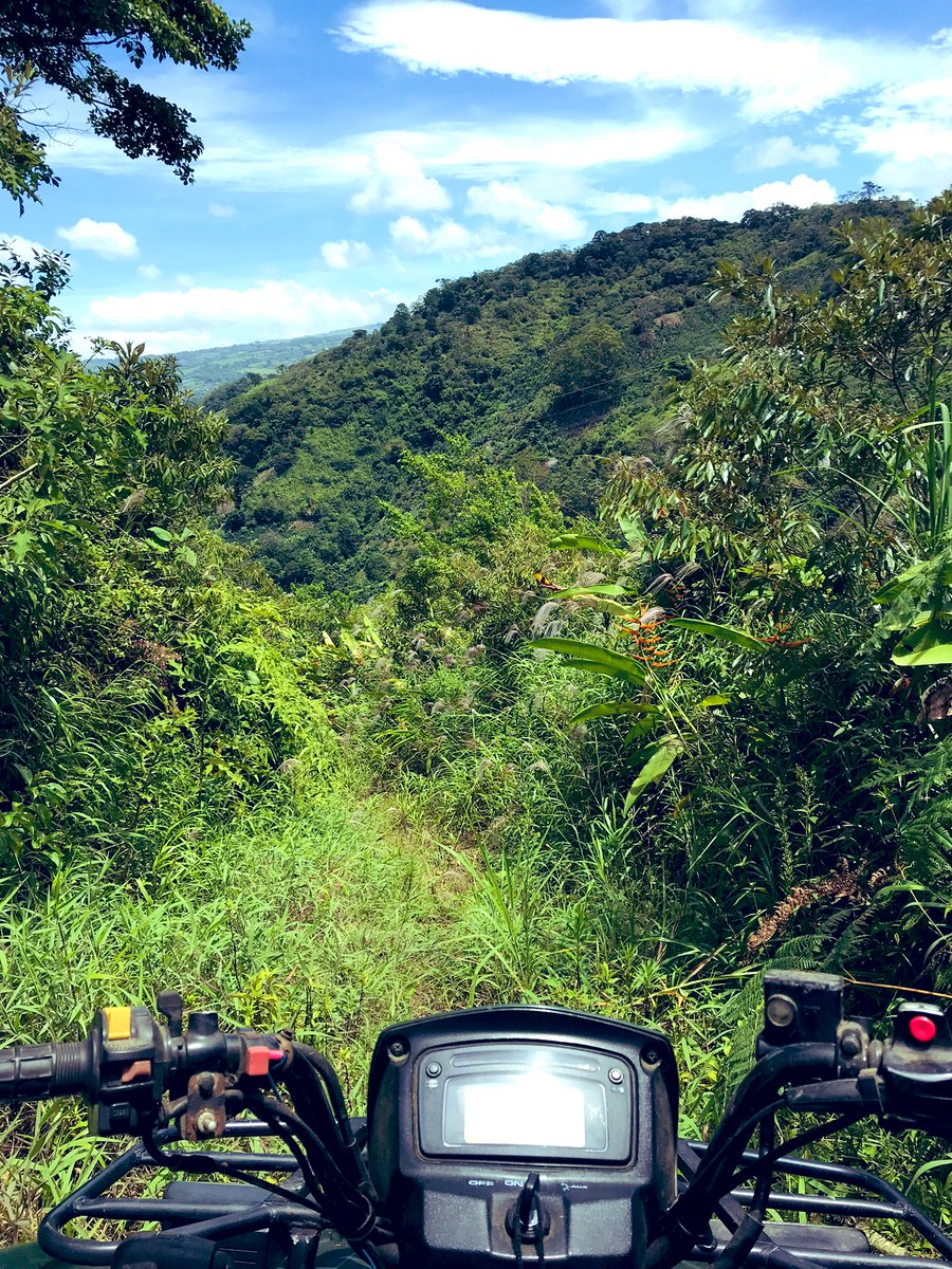 Firefly Shire 🌙✨ tweet media