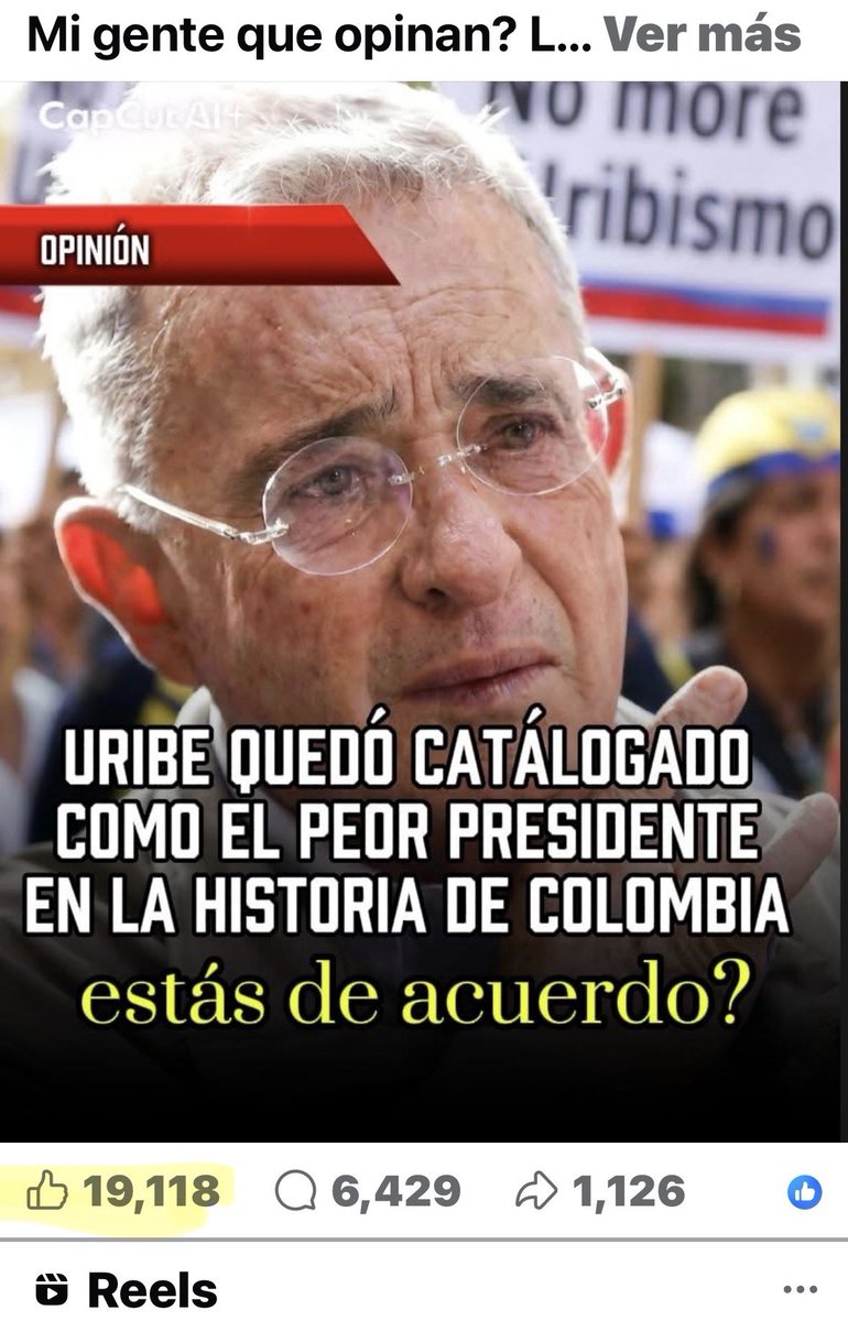 Feminismo electolero tweet media