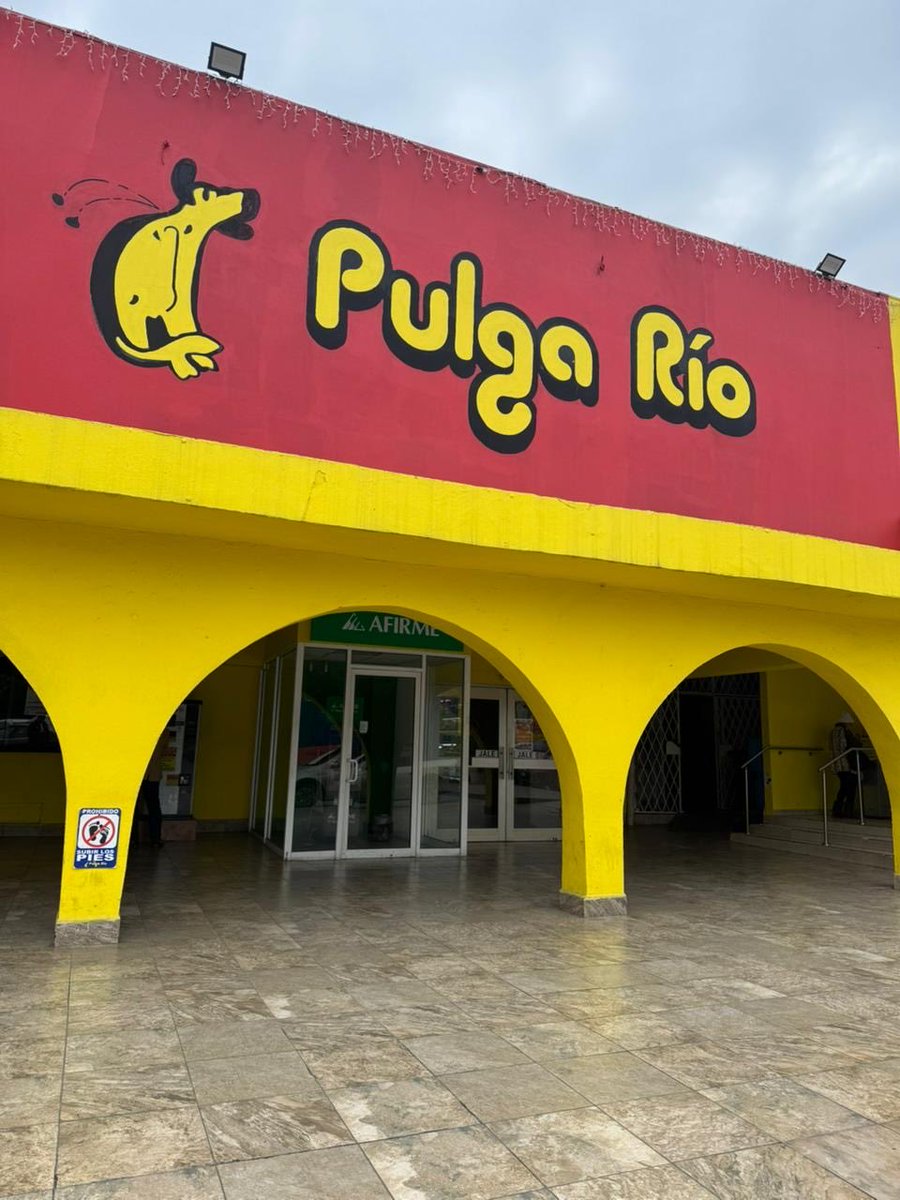 Ya buscando la bolsa Gucci original del intercambio