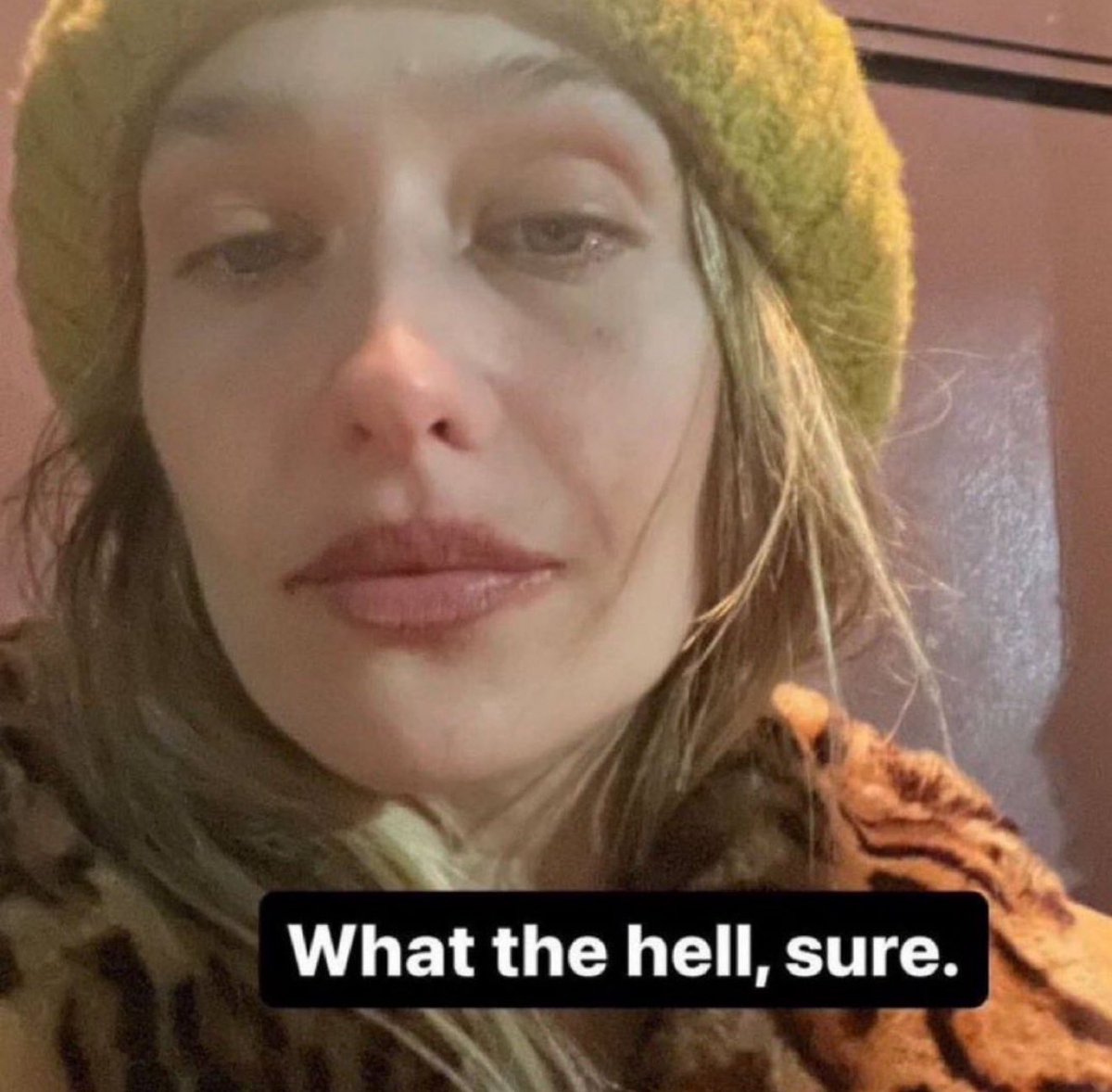 zoe (@zxebella) on Twitter photo 