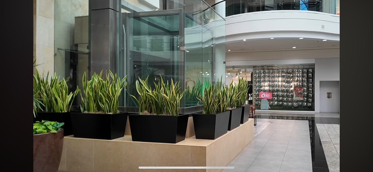 jhazani's tweet image. Is being able to buy any jersey of any team in the world at any moment worth leave this much #style? #jussayin #barely 👌🏿